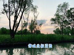 -西溪国家湿地公园