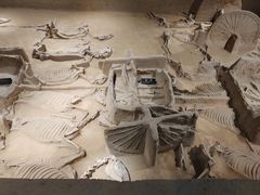 -洛阳周王城天子驾六博物馆