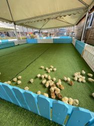 -萌宠亲子动物乐园(槐房万达店)