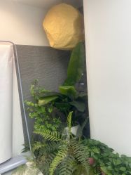 -素简女子塑形·健身普拉提
