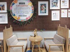 大堂-藏猫猫咖啡主题馆(中央大道店)
