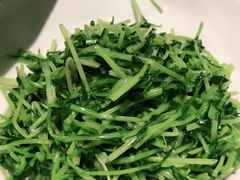 松茸豆苗-丰收日(五角场店)