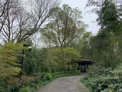-法云安缦酒店