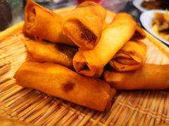 炸春卷-牛炖牛·怪味牛骨头(大成路店)