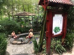 -青城道汤池