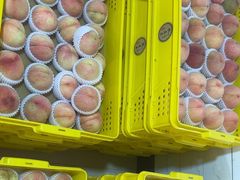 -老袁家蜜桃农场·阳山水蜜桃