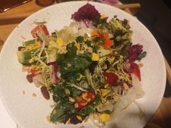-野萃山·潮汕厚果汁(十亩地店)