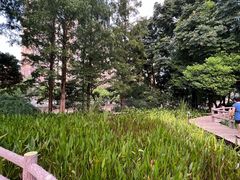 -成都市活水公园