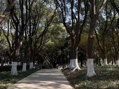 -昆山城市公园