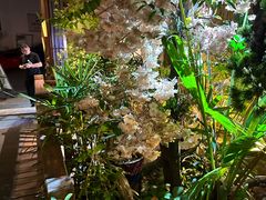 -王捌小院(红花坡店)