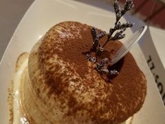 -狐狸和向日葵(北京路店)