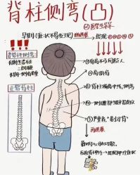 -卡莫瑜伽·普拉提