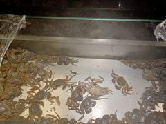 -欢乐牧场海鲜烤肉自助(牡丹园店)