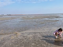 -北海金海湾红树林生态旅游区