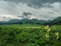 -新疆那拉提国家旅游度假区