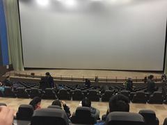 -天幕新彩云国际影城(激光巨幕店)