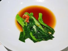 -觀芷隐轩