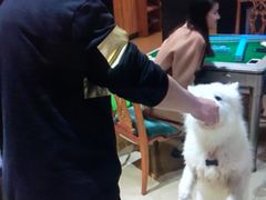 -不止轰趴独栋别墅户外烧烤(颐西庄园店)