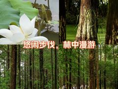 -艾溪湖湿地公园