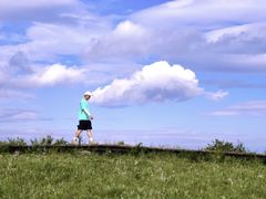 -白草畔自然风景区