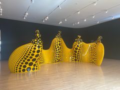 -旧金山现代艺术博物馆