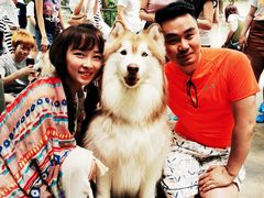 -TrueLove @ Neverland (Husky Cafe)