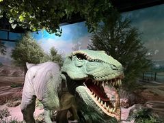 -国家自然博物馆