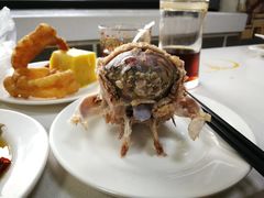 -洪记白水羊头(留学路店)