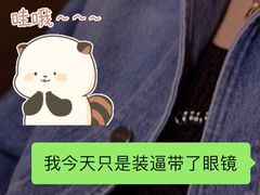 -海底捞火锅(新华联梦想城店)