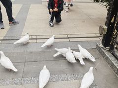 -王府井奥莱临潼小镇(临潼店)