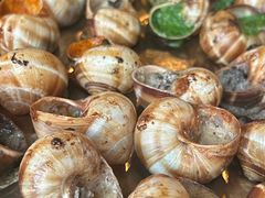 -金蜗牛