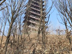 -大伊山景区