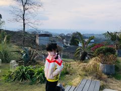 -云里小坐·小院里·团建·宴请·下午茶(三圣乡店)