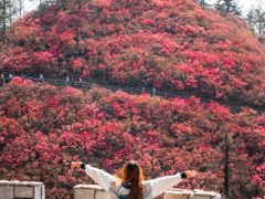 -木兰云雾山