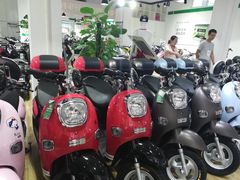 -绿源电动车(胜利路专卖店)