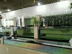 -马家烧麦(总店)