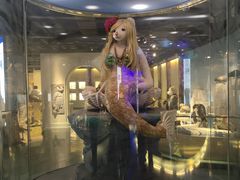 -成都泰迪熊博物馆