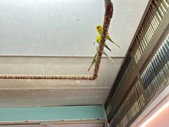 -上海大自然野生昆虫馆