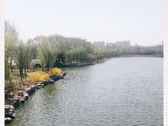 -大兴滨河森林公园