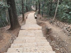 -九曜山