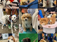 -香港会议展览中心演讲厅