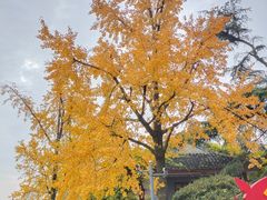 -南通博物苑-崇川人民公园