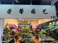 -双季花艺园艺市场(浦东店)