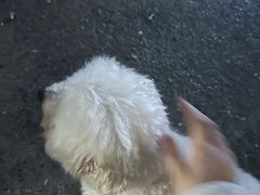 -咕鹿流心披萨(下沙店)