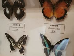 -zoonana室内动物园(东方福来德店)