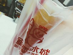 -蜜雪冰城(托乐嘉店)