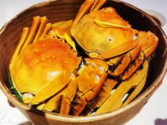 清蒸大闸蟹-蟹榭(静安寺晶品商场店)