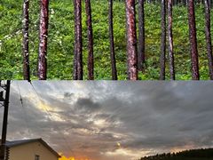 -莫尔道嘎国家森林公园