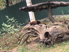 -大连森林动物园