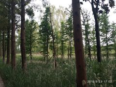 -昆山城市生态森林公园